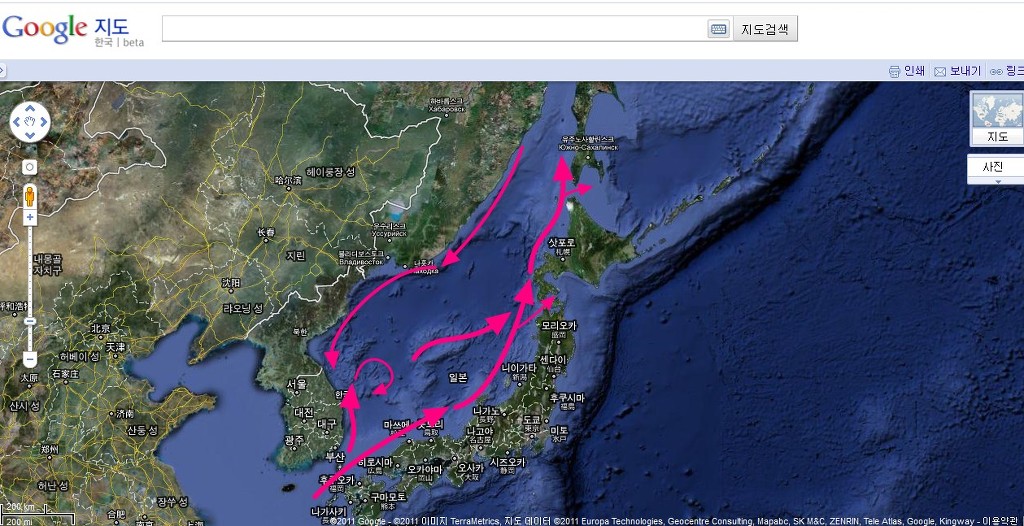 국내 방사선 수치 지도와 살펴본 동해의 해류 흐름, 해류도 궁금하다