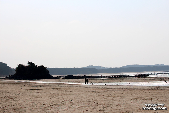 태안 청포대 해수욕장, 해변을 거닐어 보다 [여행 드라이브]