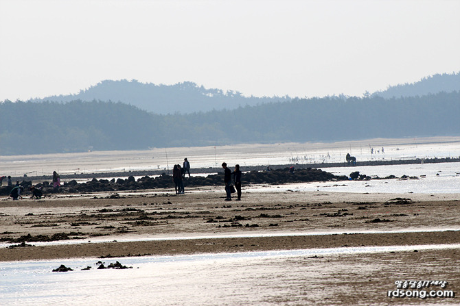 태안 청포대 해수욕장, 해변을 거닐어 보다 [여행 드라이브]
