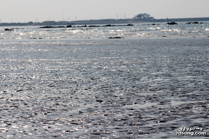 태안 청포대 해수욕장, 해변을 거닐어 보다 [여행 드라이브]