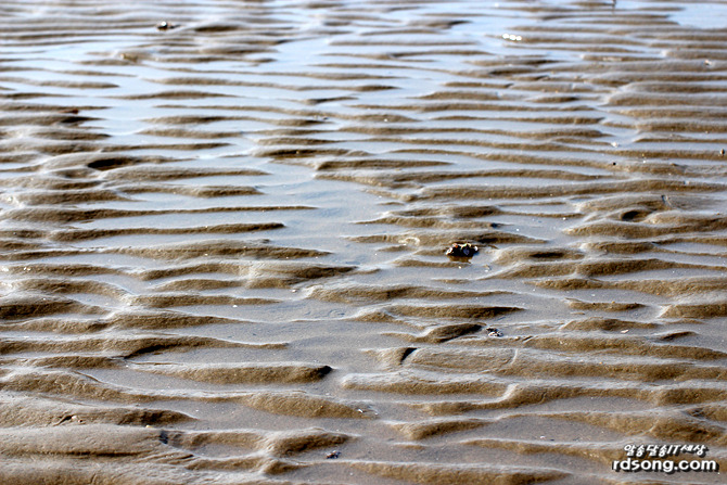 태안 청포대 해수욕장, 해변을 거닐어 보다 [여행 드라이브]