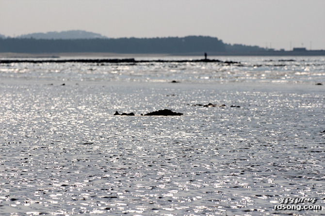 태안 청포대 해수욕장, 해변을 거닐어 보다 [여행 드라이브]