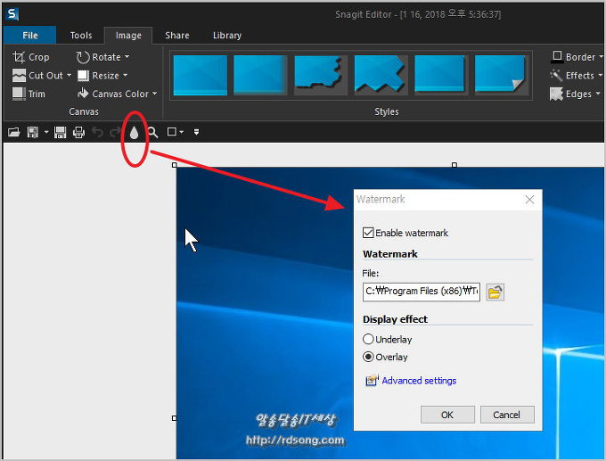 스네그잇 Snagit 12 화면캡처 도구 워터마크 추가 [스네그잇 사용법]