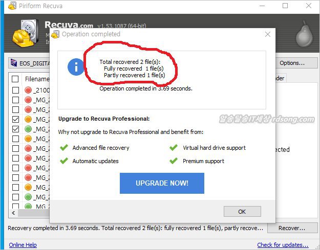 데이터 복구 프로그램 리쿠바 Recuva 이용한 카메라 메모리카드 삭제 사진 복구
