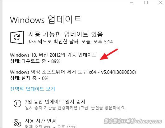 윈도우10 20H2 기능 업데이트 - windows 업데이트 뜨다3