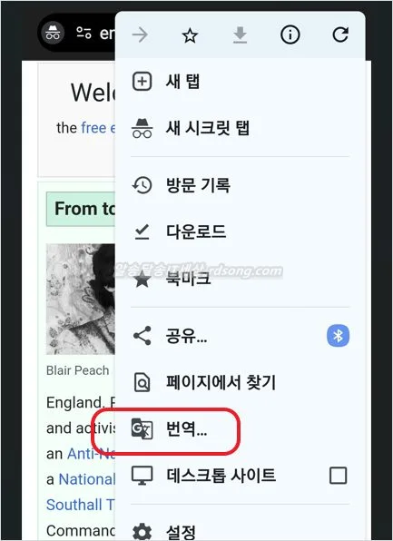 홈페이지 번역 크롬 웹사이트 번역 하기