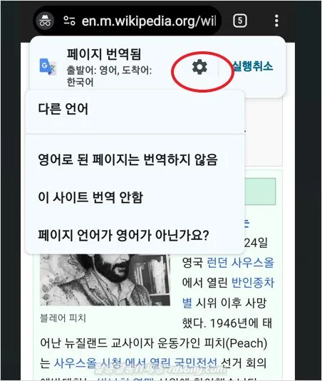 홈페이지 번역 크롬 웹사이트 번역 하기