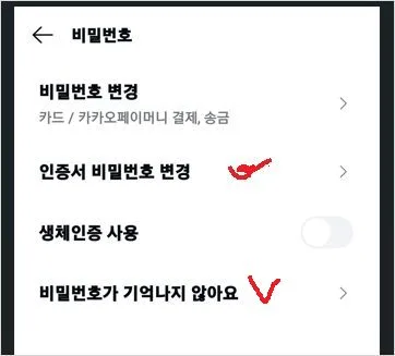 카카오페이 인증서 비밀번호 분실 찾기