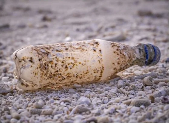 재활용 안 되는 플라스틱 종류 vs 재활용 플라스틱 종류 분리배출2