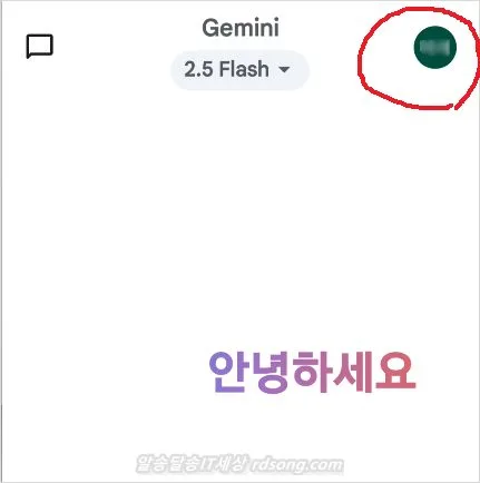 제미나이 라이브 음성 바꾸기