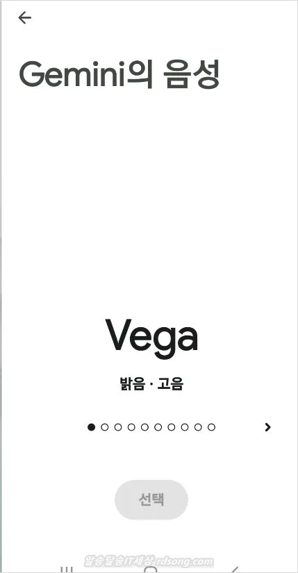 제미나이 라이브 음성 바꾸기