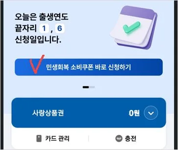 민생소비쿠폰 지역화폐신청