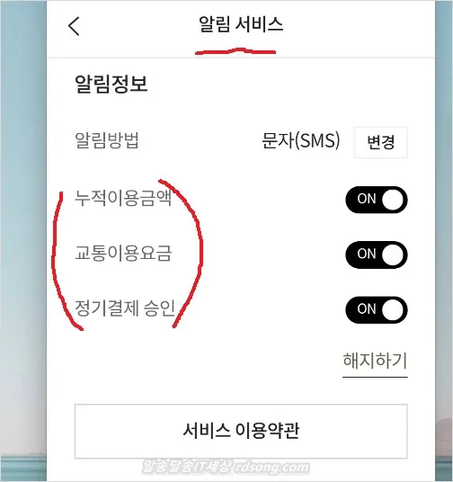 롯데카드 결제 알림 핸드폰 문자 알림 서비스2