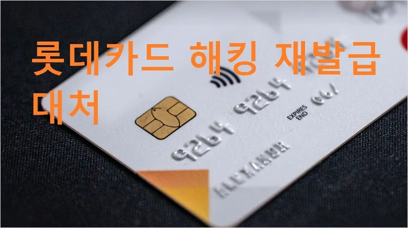 롯데카드 해킹 재발급 대처 방법,롯데카드 해지