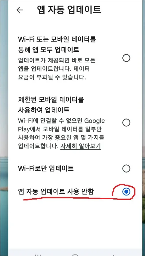 카카오톡 자동 업데이트 끄기 안되게 방법